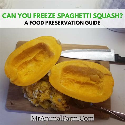 Can You Freeze Spaghetti Squash A Food Preservation Guide Freezing