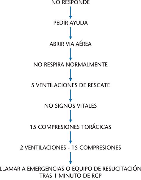 En este tutorial, les explicaremos cómo se debe realizar la reanimación cardiopulmonar (rcp) que es esencial para salvar vidas en casos donde el corazón. Pasos de la reanimación cardiopulmonar básica pediátrica ...