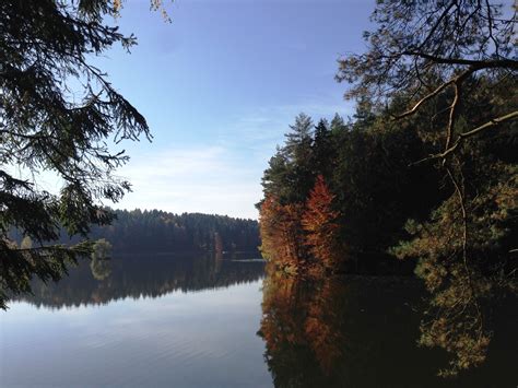 Free Images Landscape Tree Nature Wilderness Mountain Morning