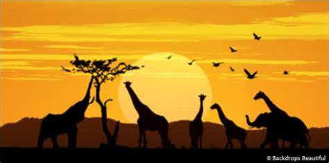 African Animal Sunset Backdrop 2 Backdrops Beautiful