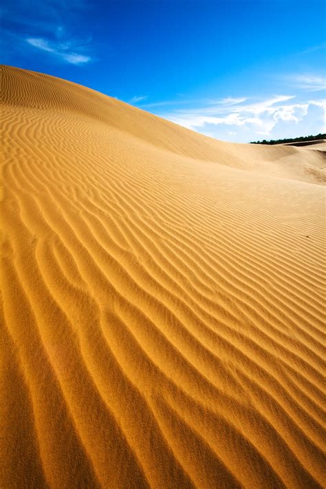 'A Sea of Sand', Vietnam, Mui Ne, Sand Dunes | Portfolio | T… | Flickr
