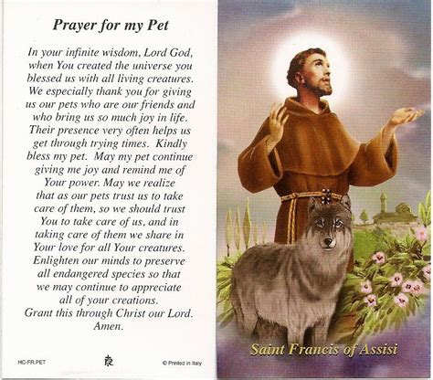 We especially thank you for giving us our pets who are our friends and who bring us so much joy in life. saint francis of assisi prayer | Prayers to St Francis of ...