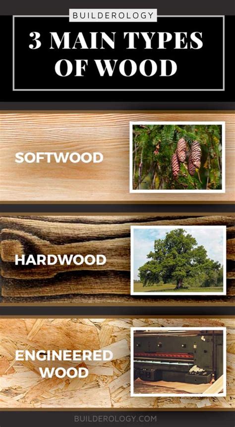 Different Types Of Wood And Their Uses Builderology