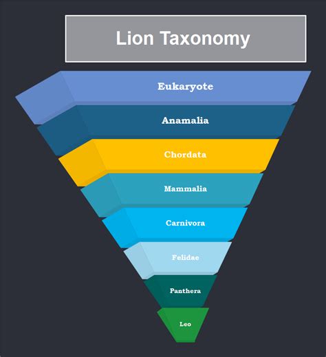 Taxonomy Templates Edrawmax Free Editable