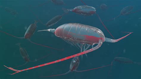 Deep Sea Copepods 3d Rendered Stock Photo Download Image Now Deep