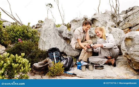 Friends Camping Stock Photo Image Of Park Adventure 22774716