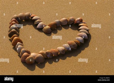 Heart Made Of Shells Stock Photo Alamy