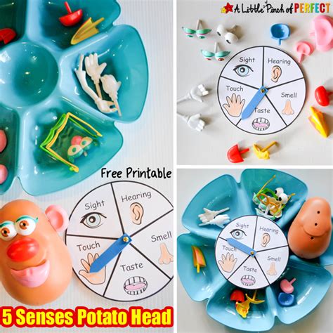 5 Senses Activity With Mr Potato Head Free Printable Senses