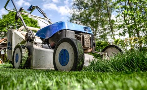 Tips For Hiring The Right Lawn Care Company New York Spaces
