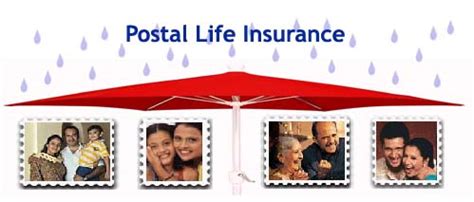 Compare public liability insurance quotes and protect your business. PLI Postal Life Insurance: Know In Details About PLI - Your Guide to Insurance