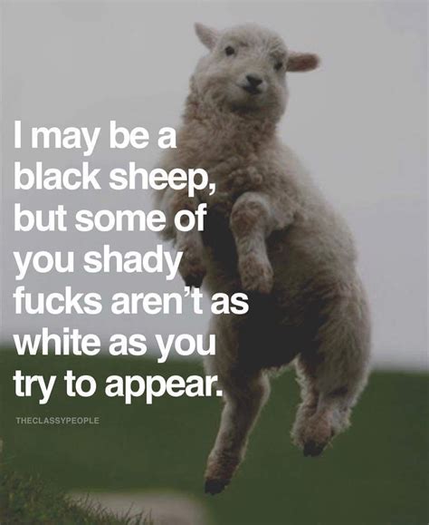 Pin By Builditgirl On Humor No Pin Limits Black Sheep Quotes