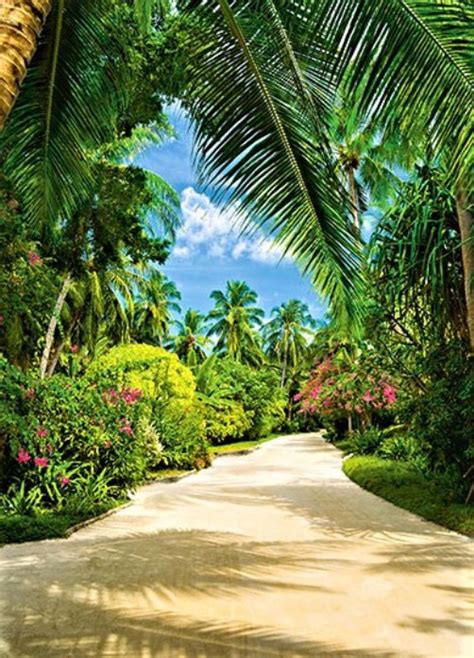 Tropical Pathway Wall Mural Mid Size Wall Murals The Mural Store