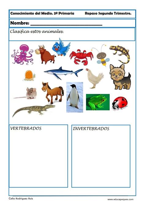 Con nuestros juegos matemáticos para preescolar. Actividad conocimiento del medio | Animales vertebrados ...