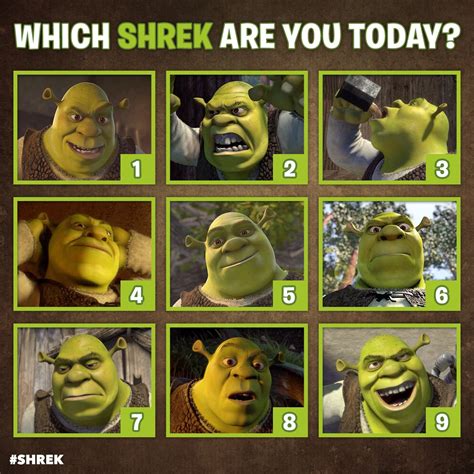 Girls Shrek Shreks Emotions Chart T Shirt Ubicaciondepersonascdmx