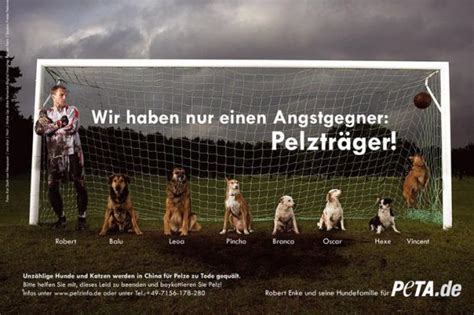 Im namen männlicher ferkel hat die tierrechtsorganisation peta am dienstag dieser woche in laut peta schützt das grundgesetz die tiere davor. Tierschutz: EU verbietet Handel mit Katzen- und Hundefell ...