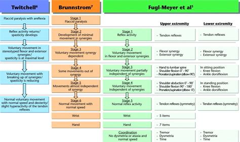 Stages Of Recovery Special Test Pinterest Physical Therapy And