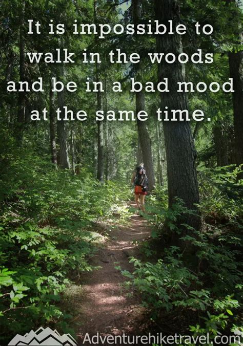 25 Hiking Quotes To Inspire Your Next Daring Adventure Adventure Hike