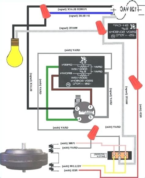 Wiring Diagram For Ceiling Fan Pull Switch Database Wiring Diagram