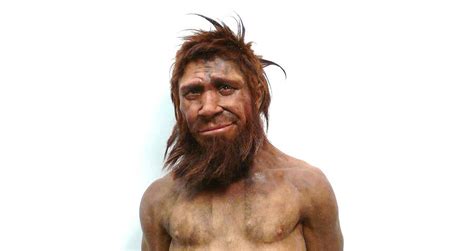 Neanderthal Reconstruction