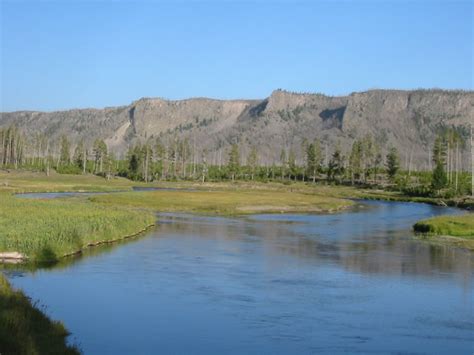 The Madison River In Yellowstone National Park Photo 3