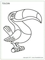554 x 565 file type: Toucan | Printable Templates & Coloring Pages ...