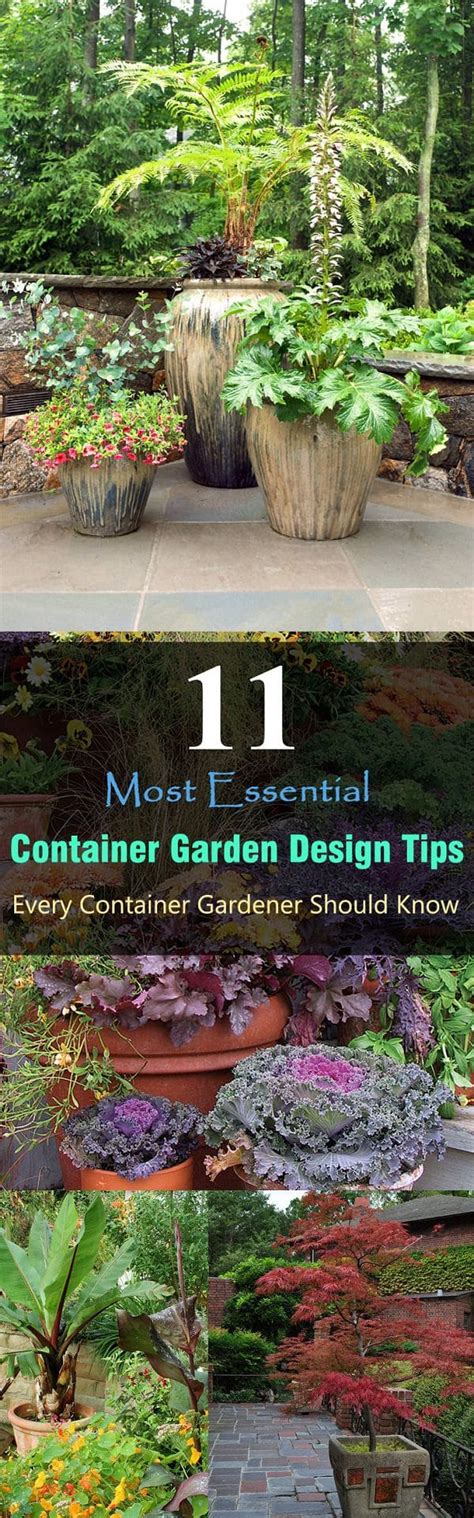 11 Most Essential Container Garden Design Tips Designing