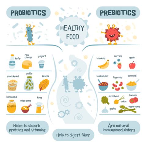 Probiotics Vs Prebiotics Which Is The Better Food For Your Gut