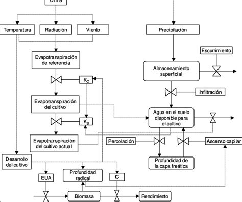 Diagrama De Flujo De Los Procesos Simulados Por El Modelo De Producción