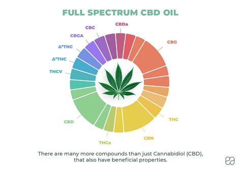 What Is Full Spectrum Cbd Endoca© Cbd