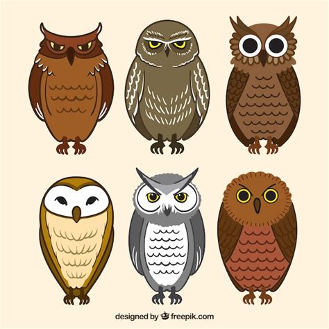 Free Vector Set Of Hand Drawn Owls