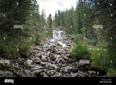 Waterfall In Forest Of Altai Mountains Menka River Aktash Altay