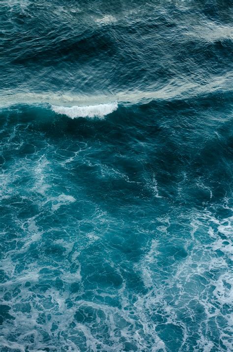 Wild Sea Pictures Download Free Images On Unsplash