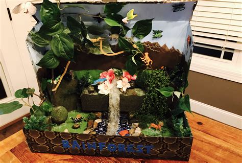 How To Make A Rainforest Diorama From A Shoebox Dioramas And Rain