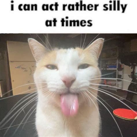 I Can Act Rather Silly At Times Blehhhhh P Cat Know Your Meme In