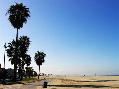 Venice City Beach Los Angeles Ca California Beaches