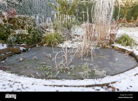 Frozen Garden Pond In Winter Stock Photo Alamy