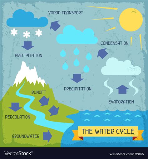 Water Cycle Poster With Nature Infographics Vector Image