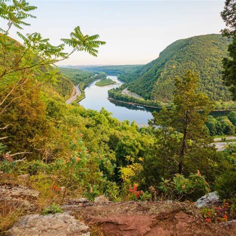 New Jersey Appalachian Mountains Maxima Devries