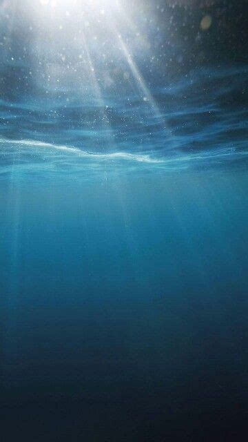 Into The Dark Water And Sunlight Underwater Photography Ocean
