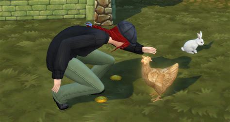 The Sims 4 Everything You Need To Know About Chickens