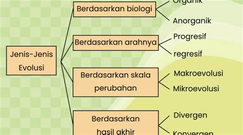 Pengertian Dan Sejarah Teori Evolusi Siswapedia