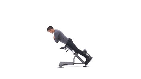 The Lumbarx 45 Degree Back Extension Bench New Expert Fitness Supply