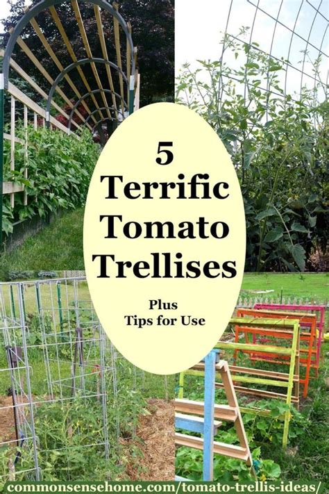 5 Terrific Tomato Trellis Ideas For Easy Harvesting In 2020 Tomato