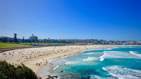 Sydney Bondi Beach Eine Liebeserklärung Und 15 Tipps Für Echtes Local
