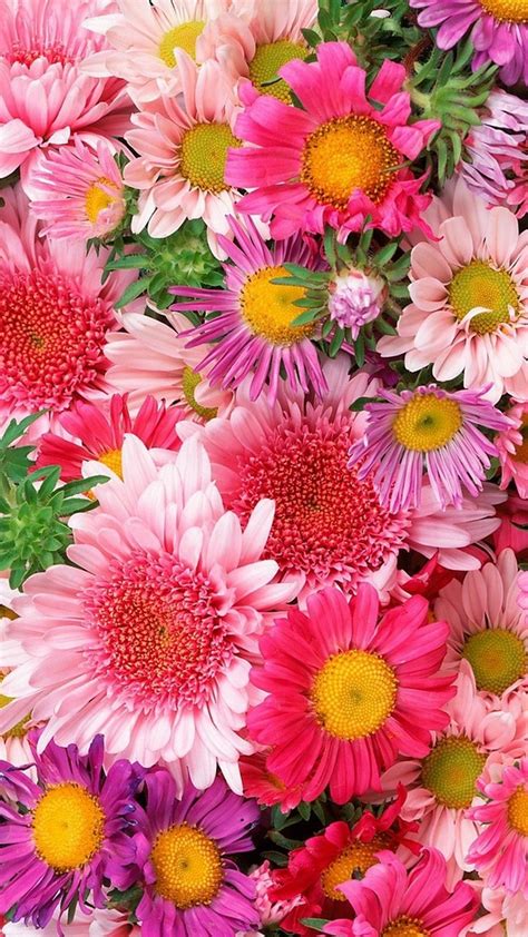 Pink Flower Background For Android 2020 Cute Wallpapers