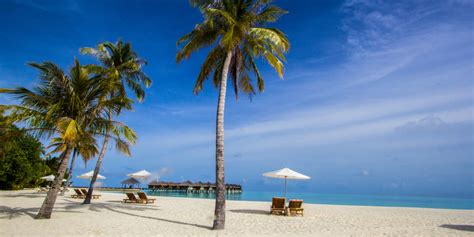 Voir plus d'idées sur le thème photos, photo été, photographie. Enquête 2019 : Les Vacances d'Eté des Ch'tis - Tourissima ...