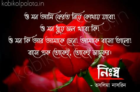 ভালোবাসার কবিতা Bangla Valobasher Kobita Bengali Love Poems