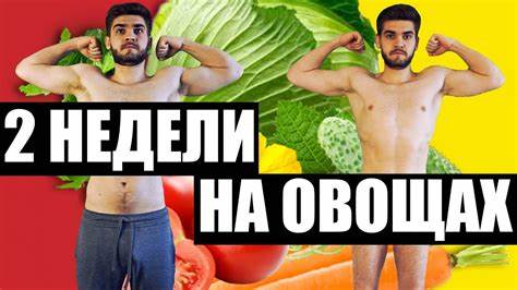 Если не есть мясо на сколько можно похудеть