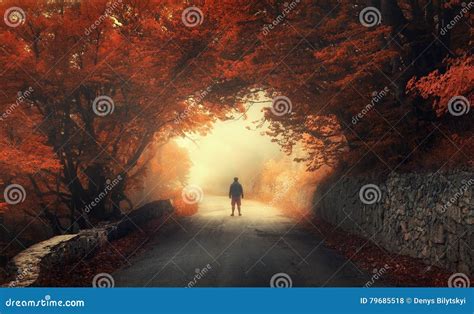 Mystical Autumn Red Forest With Silhouette Of A Man Stock Photo Image
