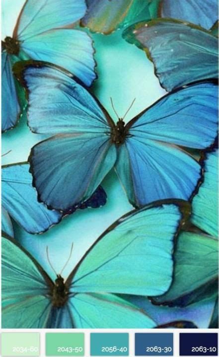 Light Blue Aesthetic Wallpaper Butterfly Aesthetic Tumblr Cute Blue